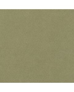 Alcantara® Avant col. Almond