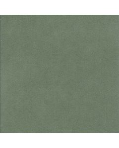 Alcantara® Avant col. Lizard
