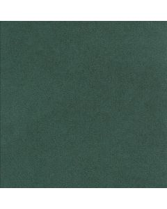 Alcantara® Avant col. Lichen