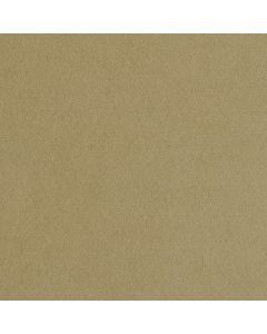 Alcantara® 0.6 Light col. Lino