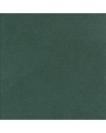 Alcantara® Master FR col. Lichen